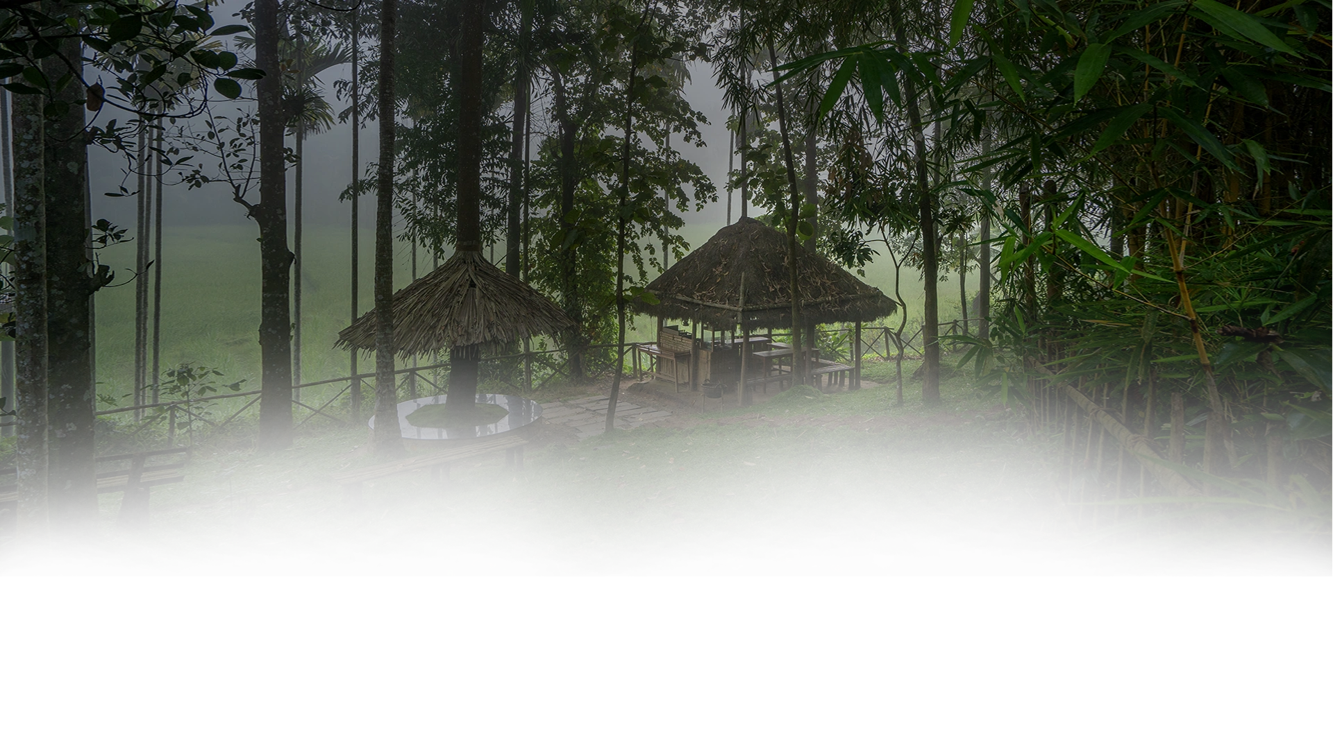 Best luxury Family cottage in Wayanad