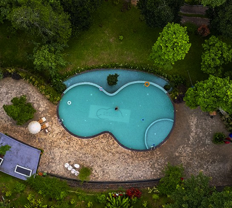 Best 5 star resort with tree house in Wayanad