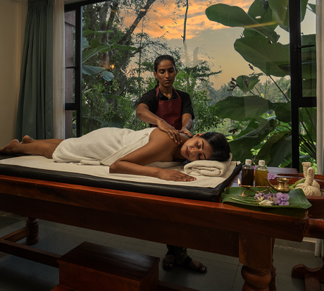 Best 5 star resort with tree house in Wayanad