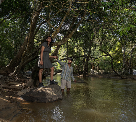 Best 5 star resort with tree house in Wayanad