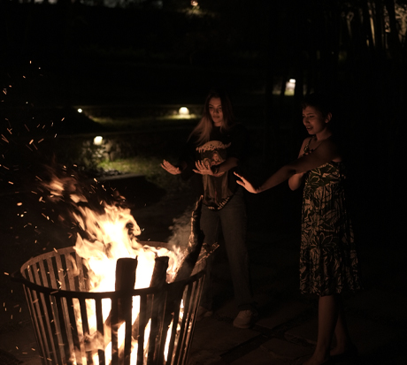 Best 5 star resort with tree house in Wayanad