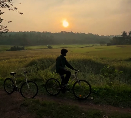 Best 5 star resort with tree house in Wayanad