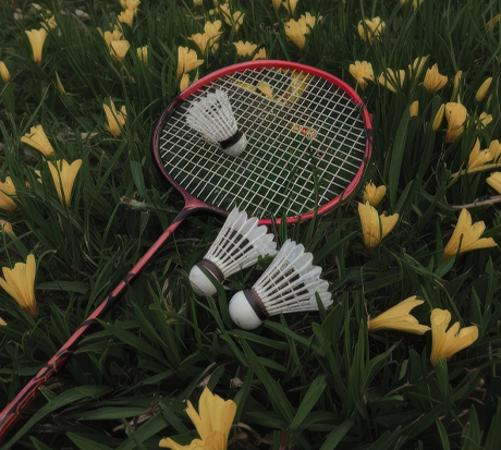 Best 5 star resort with tree house in Wayanad