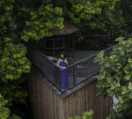 Best 5 star resort with tree house in Wayanad