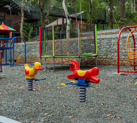 Best 5 star resort with tree house in Wayanad