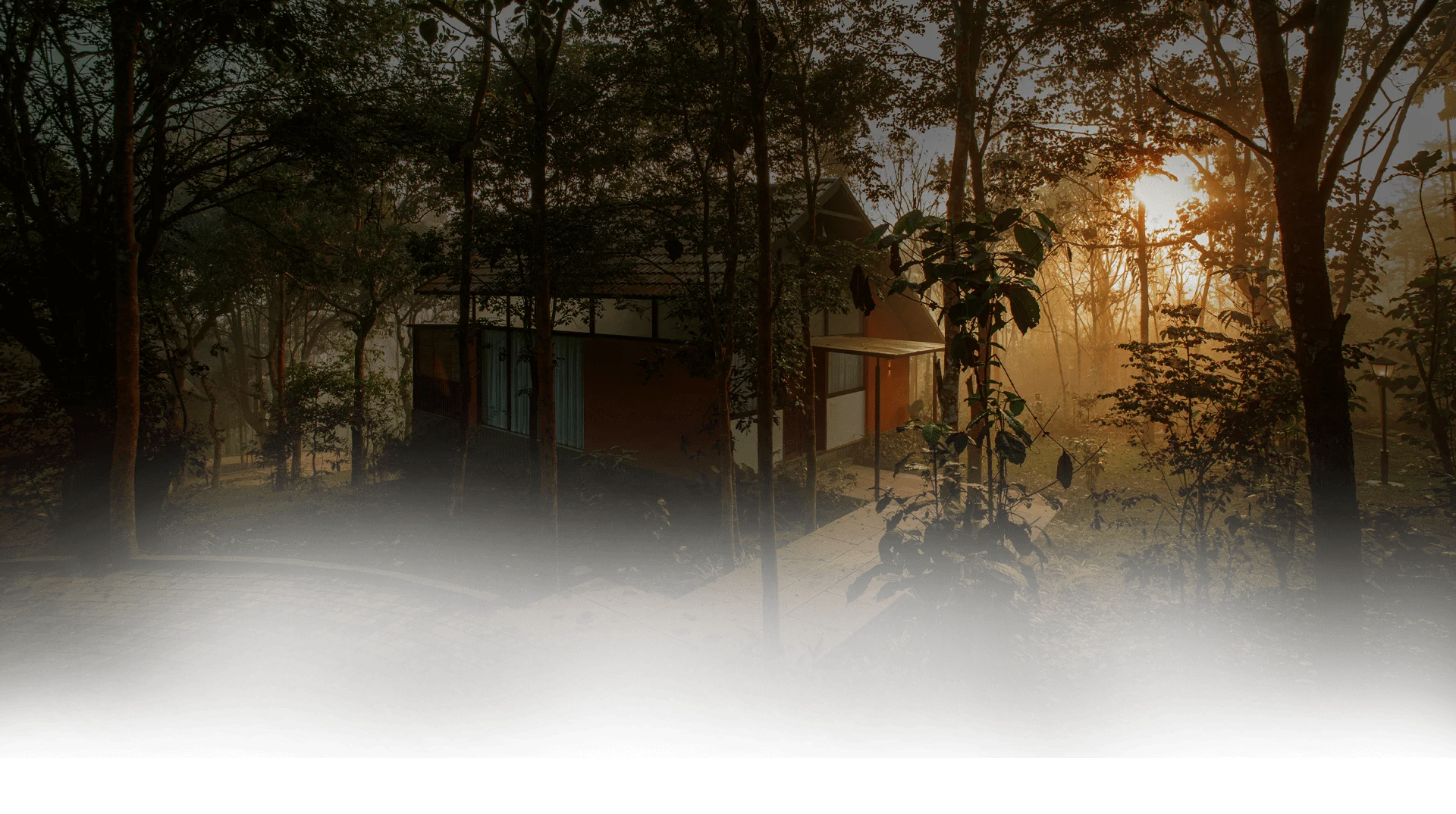 Best luxury resort near Nagarhole National Park Wayanad