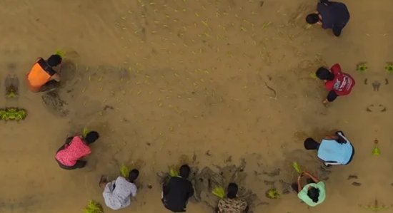 Kambala Natti — Wayanad's Sacred Tribal Harvest Ritual
