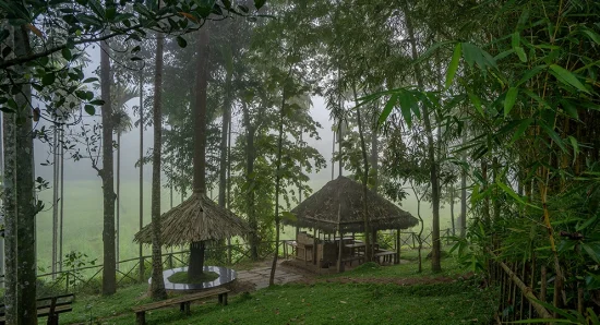 Luxury 5 Star Resort in Wayanad: Experience Serenity
