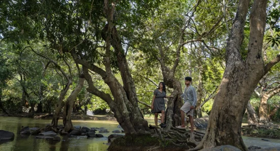 Visiting Kuruva Island Wayanad: Tips, Timing, and Nearby Stays