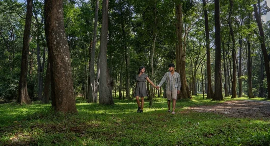 Wildlife Tourism in Wayanad: Experience the Best of the Western Ghats