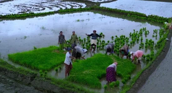 Organic Farming & Nature Walks: A Quiet 5 Star Escape in Wayanad