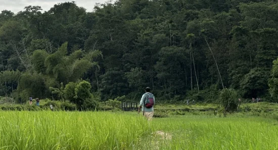 Best Weekend Getaway in Wayanad: Reconnect with Nature’s Calm