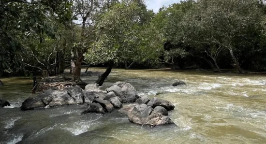 Guide to Kuruva Island: Stay at the Best 5 Star Resort near Kuruvadweep, Wayanad