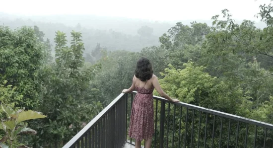 Panoramic Forest Views: Experience the Watchtower at Crystal Kuruva