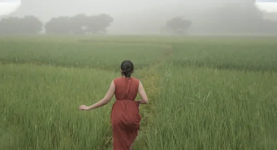Best Mist-Kissed Morning Trails in Wayanad