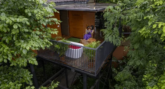 Best 5 Star Resort with Tree House in Wayanad for Honeymoon