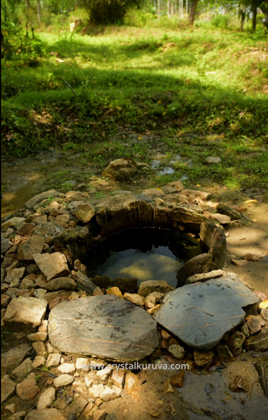 Keni — The Sacred Tribal Well of Wayanad
