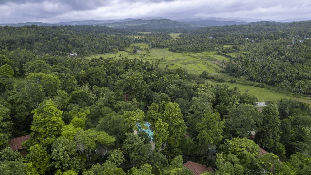 Complete guest stay experience at Crystal Kuruva Wayanad