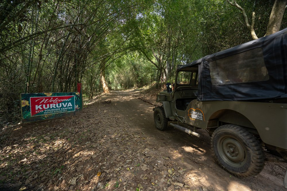 Trekking through lush greenery at Kuruva Island