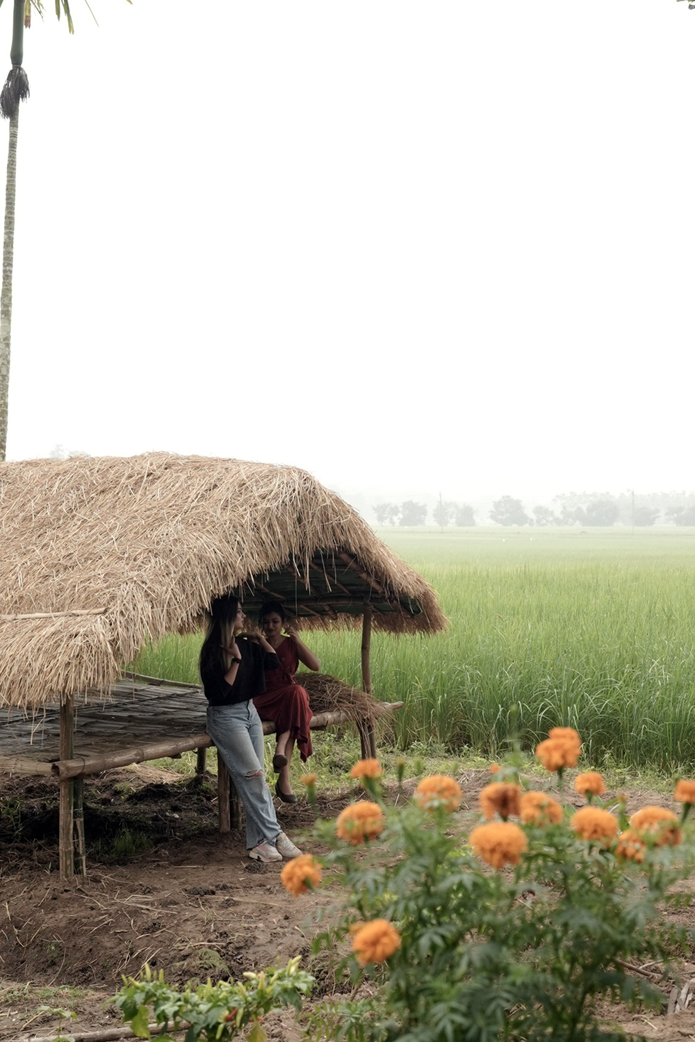 Rural countryside charm surrounding Crystal Kuruva resort