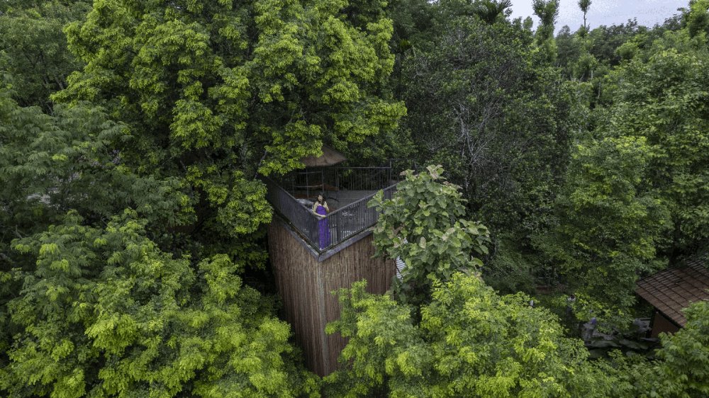 Serene forest surroundings of Crystal Kuruva Wayanad