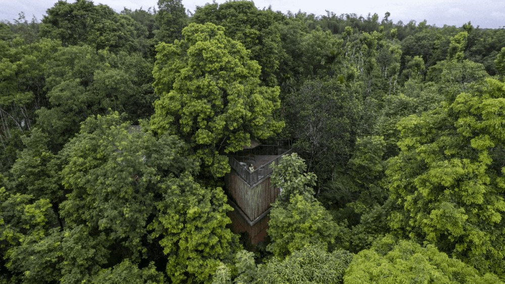 Nature retreat near Kabini and Nagarhole National Park