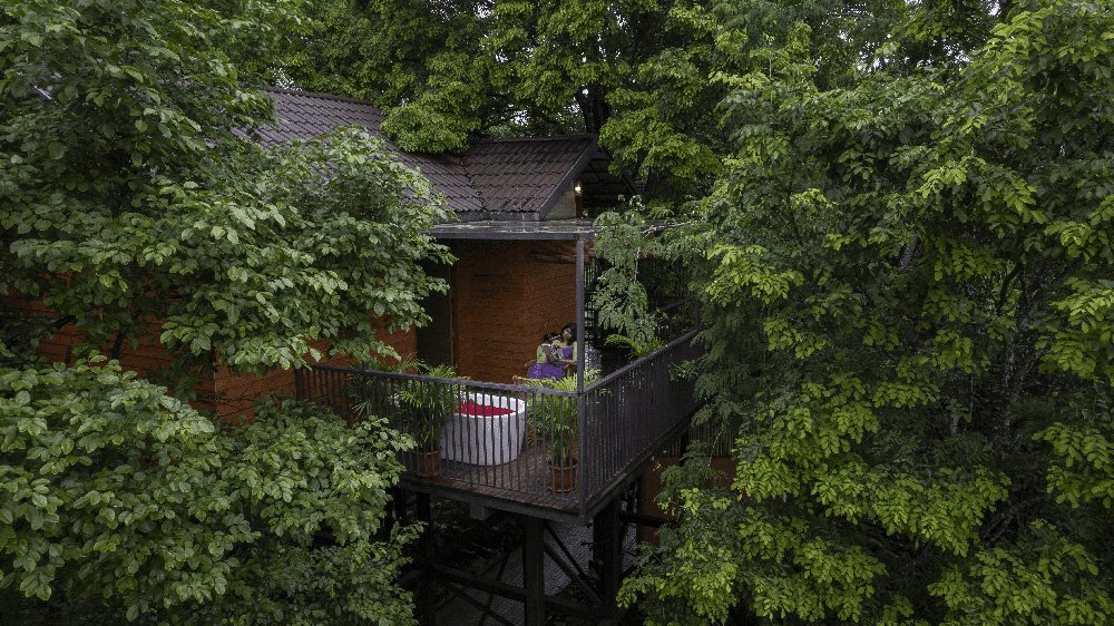 Luxury tree house stay in Wayanad at Crystal Kuruva