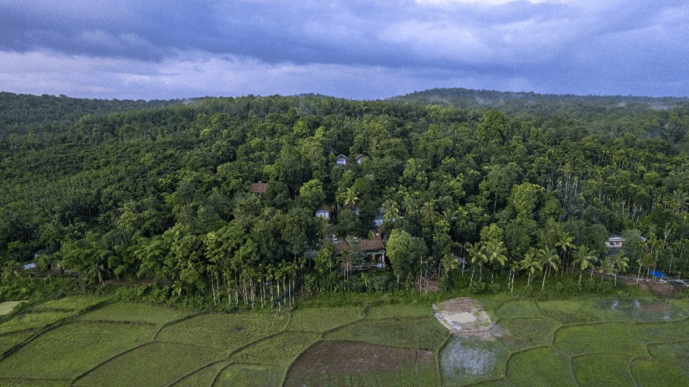 Eco luxury resort experience in Wayanad