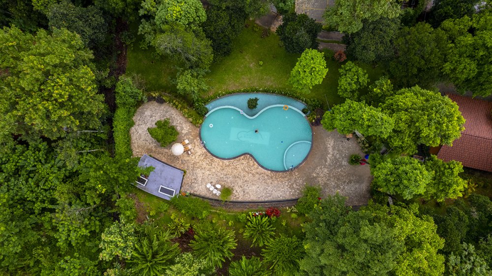 Relaxing poolside experience at luxury resort in Wayanad