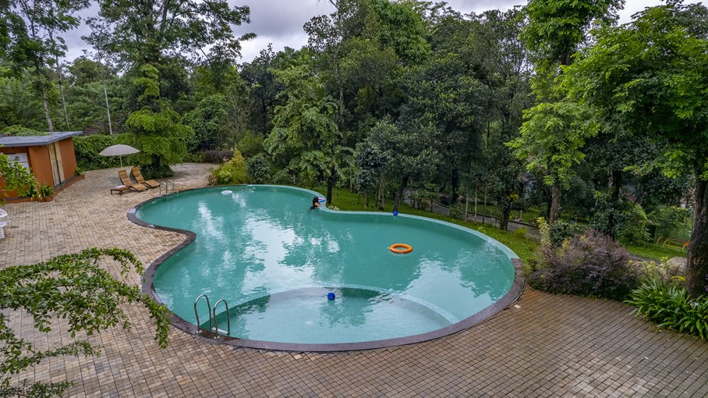 Poolside relaxation with forest views in Wayanad