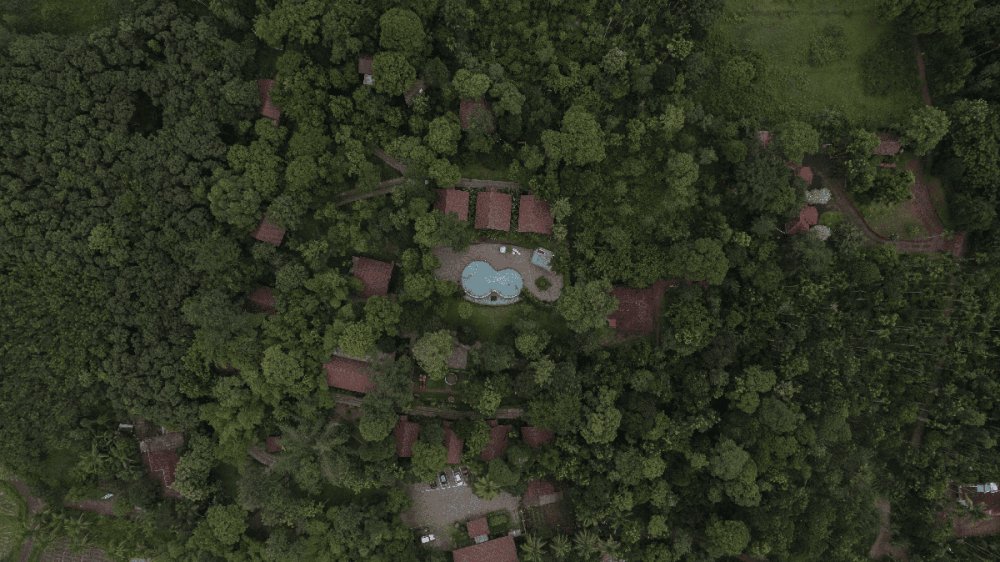 Tranquil holiday experience in Wayanad Kerala