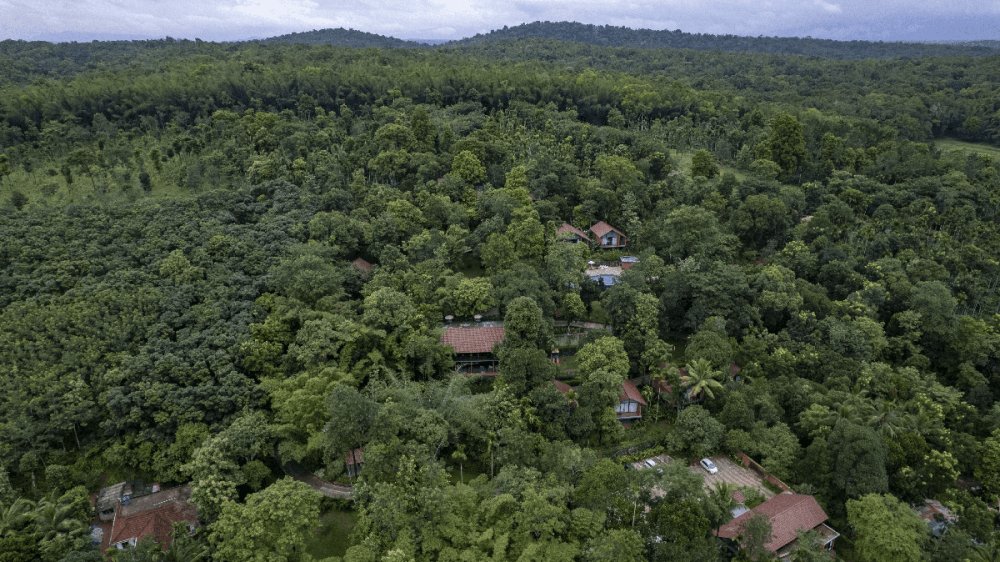 Peaceful luxury resort experience in Wayanad